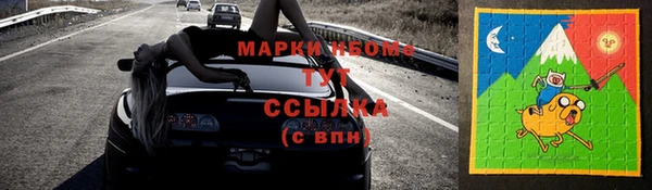трава Белокуриха