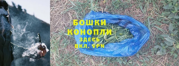 трава Белокуриха
