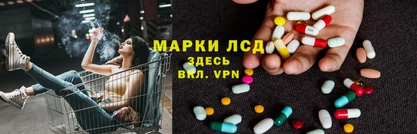 трава Белокуриха